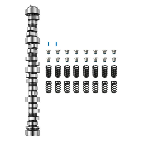 VEVOR LS Truck Cam Kit, Cast Iron Cam Replacement Kit with Springs & Valve Seals, Compatible with 1999-2013 GM Gen3/4 Norris Trucks, Fits 4.8L, 5.3L, 6.0L, 6.2L LS Engines, OE 12625437 SP011-16