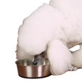 thumbnail image 1 of Stainless Steel Bowl with Rubber Base 16oz, 1 of 1