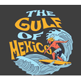 thumbnail image 2 of The Gulf of Mexico Surfer Youth Charcoal Crew Neck Short Sleeve Tee-XL, 2 of 4
