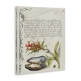 thumbnail image 3 of Stupell Industries Victorian Oyster & Plant Study Canvas Art, 16 x 20, by Melissa Wang, 3 of 8