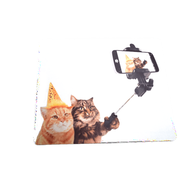 Cats Taking Party Time Selfie Picture Mp Cat Walmart Com Walmart Com
