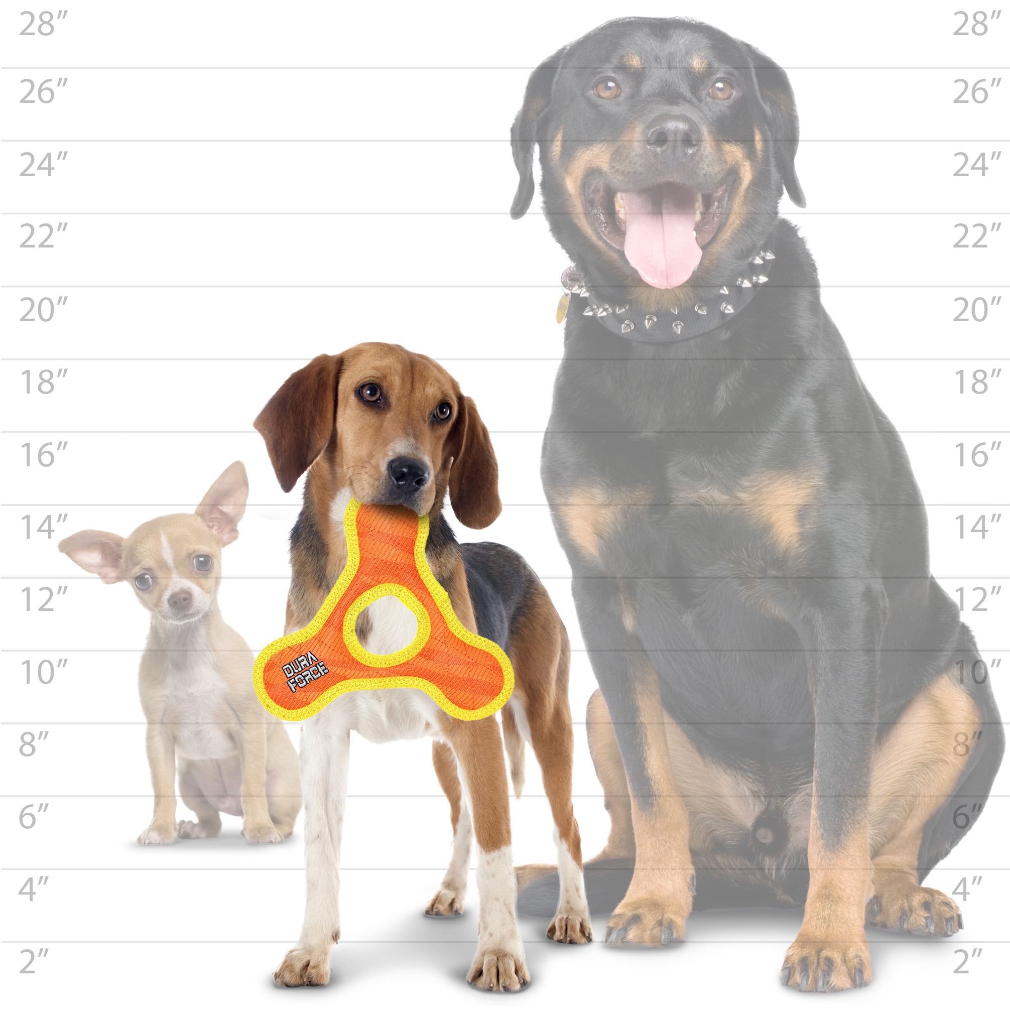 DuraForce Jr TriangleRing Tiger Orange, 2-Pack, Durable Woven Mesh Fiber Squeaky Dog Toy