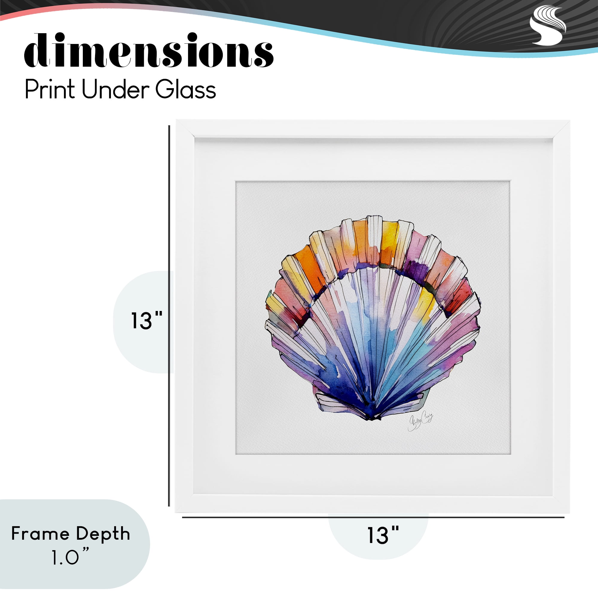 Stupell Industries Coastal Scallop Watercolor White Framed Print Under Glass, design by Shelly Craig