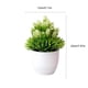 thumbnail image 3 of Flores artificiales, bonsáis artificiales en maceta, macetas de plástico para sala de estar, comedor, mesa de TV, mueble de centro, decoración, adornos, flores artificiales, bonsáis, plantas, 3 of 9