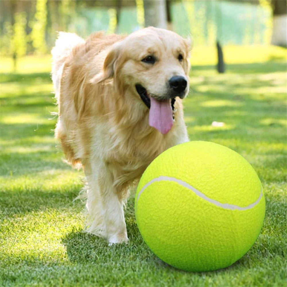 New 1pcs Pet Dog Tennis Ball Petsport Thrower Chucker Toys X2G8 Play Fu Lau E2X8 