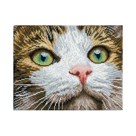 UPC: 4895225915057 | Diamond Dotz Facet Art Kit Intermediate Green Eyed Beauty