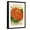 Black Frame, variant on Art.com Zinnia Seed Packet Art Print, Black Frame Wall Art, 21" x 29"