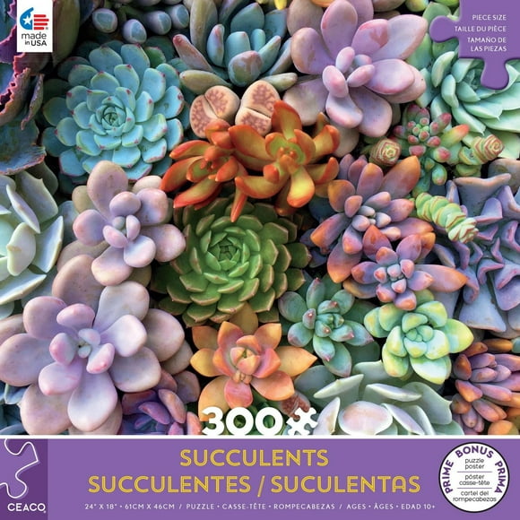 SUCCULENTS - PRETTY PASTELS - 300 PIECE PUZZLE