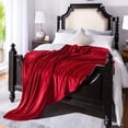 thumbnail image 4 of Red Throw Blanket Fleece Blanket 60"x80",Super Soft Cozy Plush Throw Blanket for Couch Sofa Bed,Warm and Lightweight Velvet Bed Blankets for Adults, 4 of 6