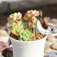 thumbnail image 3 of Clear Acrylic Planter for Succulents - Modern Desktop Decor with Durable, Eco-Friendly Design, 3 of 5