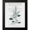 thumbnail image 2 of Kimberly, Allen 20x24 Black Modern Framed Museum Art Print Titled - Botanical 2, 2 of 5