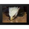 thumbnail image 2 of Cox, Mark 24x17 Black Modern Framed Museum Art Print Titled - Cool Drink on a Hot Day, 2 of 5