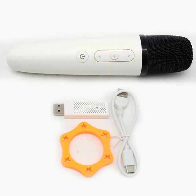 Microphone de Karaoké à Chargement USB-C avec Récepteur for BYD Dolphin pour Mini Qin Huawei -