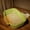 Green, variant on 12L Large Low Entry Cat Litter Box for Senior & Elderly Cats, High Sides Anti-Splashing Litter Pan, Easy Clean Indoor Cat Litter Box for Kittens & Disabled Cats 16.54''LX11.02''WX4.72''H
