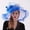 Blue, variant on funny hats for men Women's Fascinator Bridal Tea Party Wedding Hat Sunhat Men Floppy Hat Hats for Women Fashionable Men Beach Hats Women Hat Yikes Hat Brimmed Hiking Hat Beach Hat Visor round