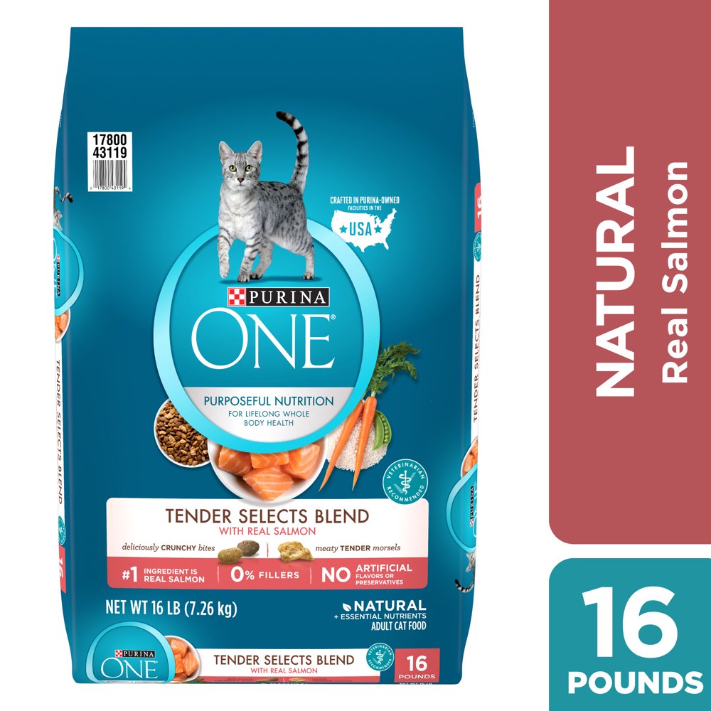 Purina ONE Natural Dry Cat Food, Tender Selects Blend With Real Salmon