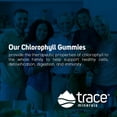 thumbnail image 3 of Trace Minerals | Chlorophyll Gummies | Supports Digestion, Immunity, & Healthy Skin | Energy Booster | Vegan and Gluten Free | Berry Flavor | 30 Servings, 50 mg, 3 of 5