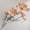 A001- Champagne, variant on Artificial Flower Stems for Floral Party Decorations Weddings Bridal Showers Birthdays Summer Home Decor Single Faux Wildflower Hobby for Table Centerpieces