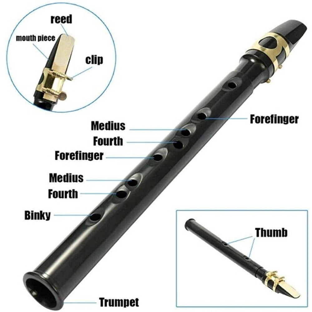 for Mini Pocket Saxophone Little Sax Instrument Set with Reeds for Pads Bag for Beginner