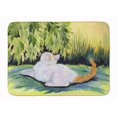 thumbnail image 1 of Carolines Treasures SS8273RUG Tapis en Mousse à Mémoire Lavable en Machine pour Chat, 1 of 4