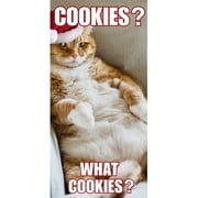 DaySpring Fun Boxed Christmas Cards, Pet Cat Cookie, 18pk