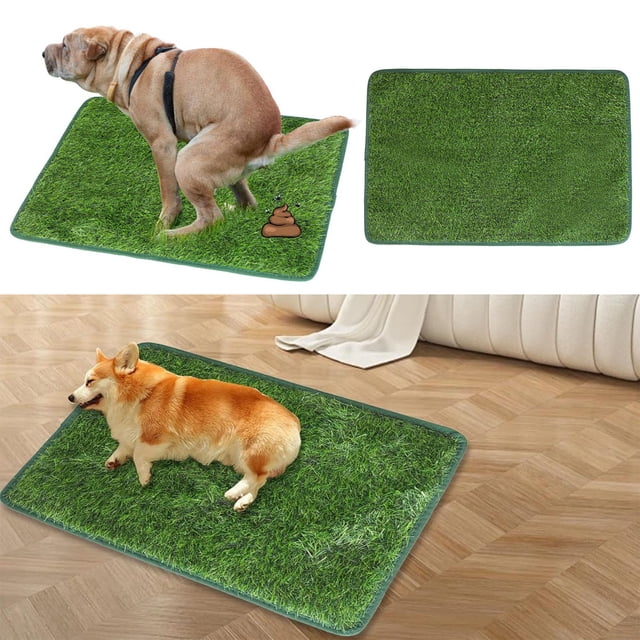 Alfombrilla para el aseo de mascotas, impermeable, lavable, sostenible y reutilizable, para uso en interiores y exteriores, 46 x 70 cm
