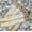 Black & White Dollar Bills, variant on Unbranded Confetti Cannon Party Poppers, White Paper Butterflies, 2 Pack