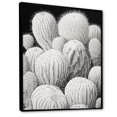 thumbnail image 2 of Designart "Monochrome Cactus Simplicity" Cactus Floater Framed Wall Art Prints, 2 of 5
