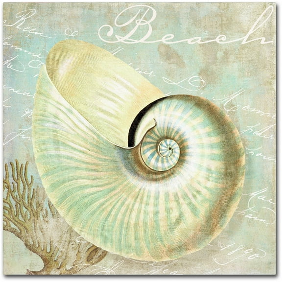 Trademark Fine Art "Turquoise Beach IV" Canvas Art by Color Bakery