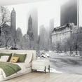 thumbnail image 2 of Peel and Stick Wallpaper Winter Central Park NY Modern Art Wall Mural Decor Self Adhesive and Removable 69in x 98in, 2 of 8