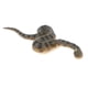 thumbnail image 4 of Juguete de Simulación de Animales Realistas Modelo de /Anaconda/Cangrejo/ Miniatura de Imaginación para Bebés Niños, 4 of 8