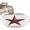Brown, variant on Western Star Area Rugs 8'x10', Washable Small Throw Rugs for Living Room Patio, Ethnic Country Red Stars White Wooden Plank Indoor Outdoor Rug Non-Slip Low Pile Carpet Runner Reversible Floor Mats