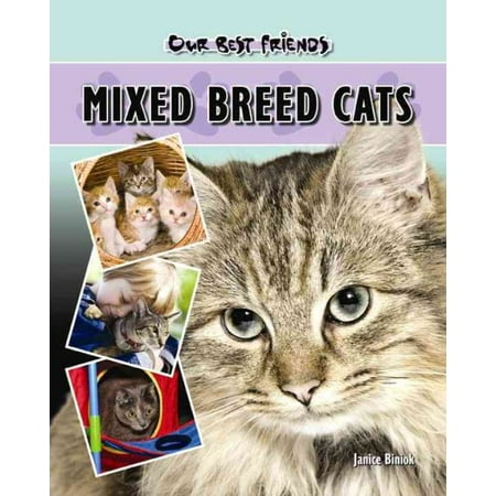 Mixed Breed Cats