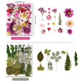 thumbnail image 3 of Flores prensadas para moldes de resina Nisetten 110+PCS Colorful-C, 3 of 5