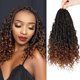 thumbnail image 1 of Trenzas crochet Hair Goddess Bohemian Box, 12 pulgadas, 8 paquetes, 1 of 6