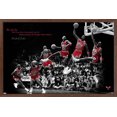 thumbnail image 1 of Michael Jordan - Voler, 1 of 4