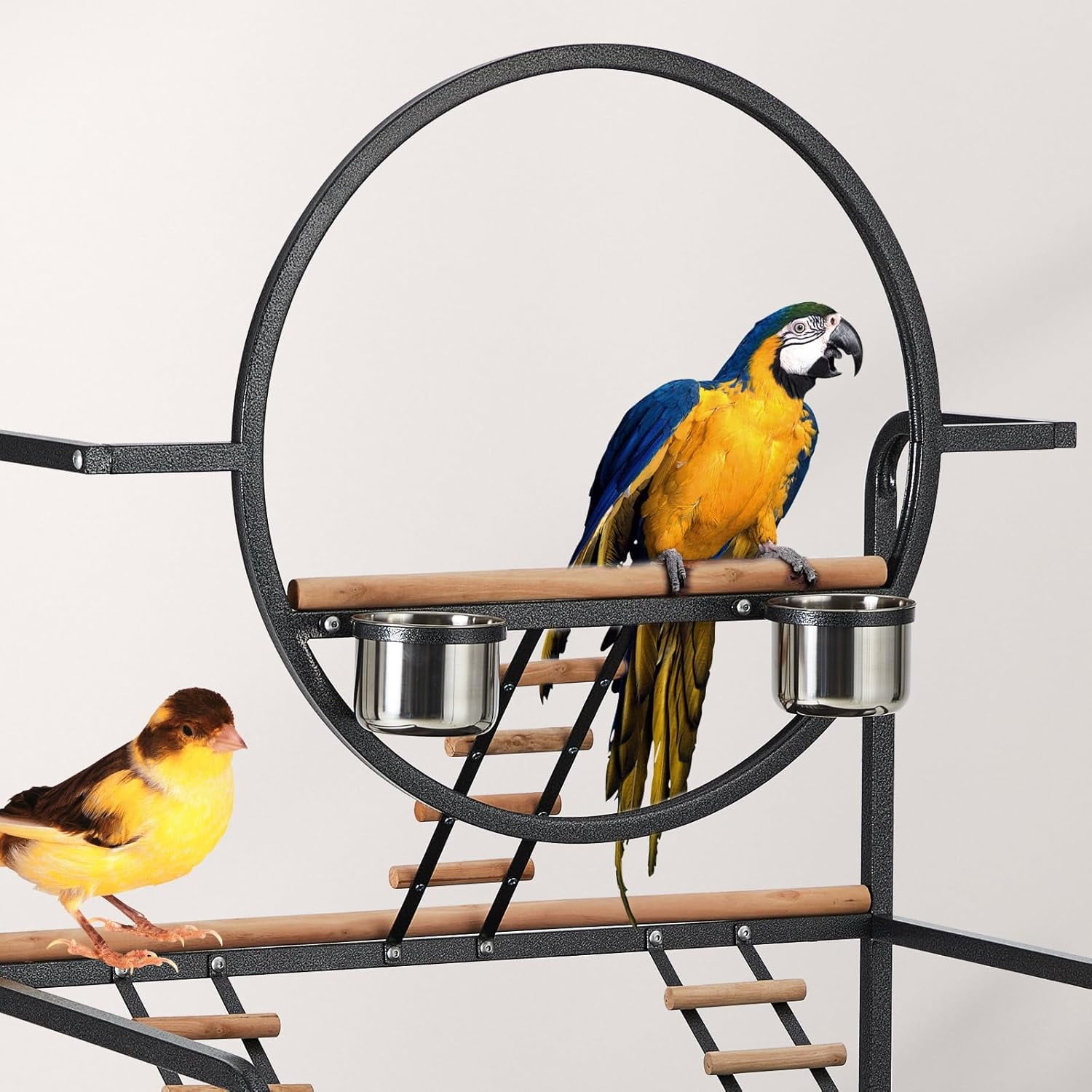 Lumiparty 66-inch Large Bird Playstand with Perches & Ladders, Indoor & Outdoor Activity Center for Parrots, Conures, Cockatiel, Removable Tray & Lockable Casters, Black