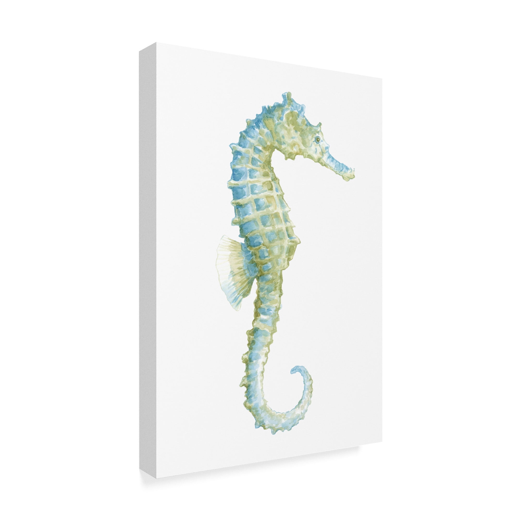 Trademark Fine Art 'Watercolor Seahorse I' Canvas Art by Megan Meagher