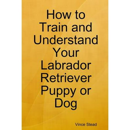 How to Train and Understand Your Labrador Retriever Puppy or (Best Way To Train A Labrador Puppy)