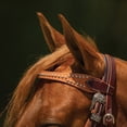 thumbnail image 4 of Schneiders Double S Two-Tone Studded Browband Headstall | Snaffle Bits, 4 of 4