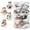 F-16 ct, variant on Twfbrm 12PCS Clear Plastic Fillable Ornament Ball 6cm/2.4in Clear Christmas Ornaments Balls for Christmas Tree with Delicate Stuff for Christmas,Holiday, Wedding,Party,Home Decor