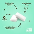 thumbnail image 3 of PUR Gum, Aspartame Free, Sugar Free & 100% Xylitol, Chocolate Mint Chewing Gum, 55 Pieces, Pack of 1, 3 of 7