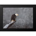 thumbnail image 2 of Barsh, Greg 18x14 Black Modern Framed Museum Art Print Titled - Snow On The Skagit, 2 of 5