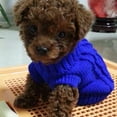 thumbnail image 2 of Ropa para perros y mascotas Jersey de punto de cuello alto Suéter Otoño Invierno 8 colores 5 tamaños Fernando Perro Suéter de punto, 2 of 7