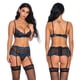 thumbnail image 2 of Conjunto de 3 piezas de lencería sexy de encaje tridimensional de dos colores, 2 of 6