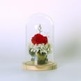 thumbnail image 5 of Glass Cloche, Plant Terrarium Dome, Flower Vase Display Case with , Table Centerpiece Dome , L, 5 of 9