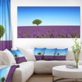 thumbnail image 1 of Green Tree among Lavender Flowers - Oversized Landscape Wall Art Print, 1 of 3