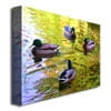 thumbnail image 2 of Trademark Fine Art "Four Ducks on Pond" Canvas Wall Art by Amy Vangsgard, 2 of 3