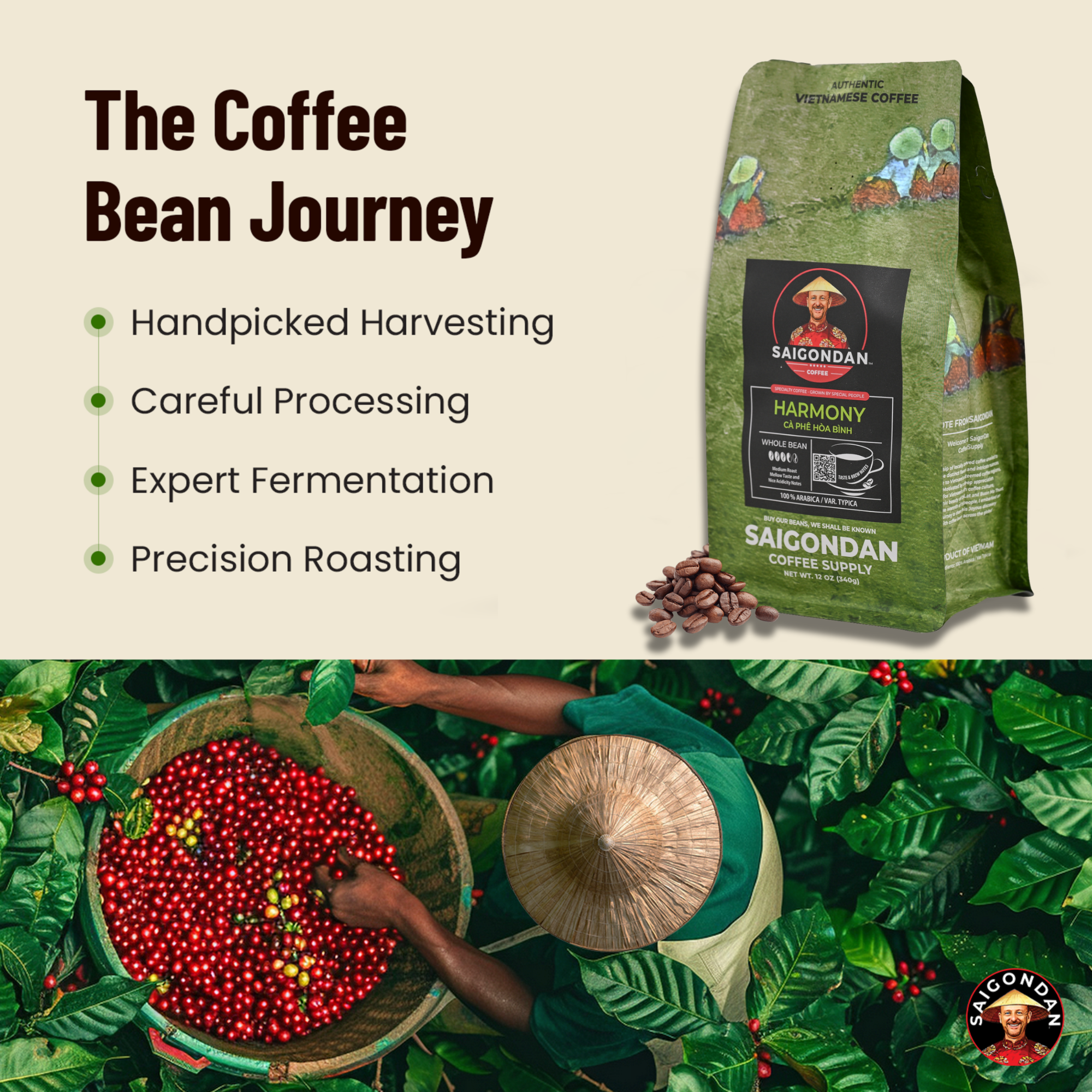 Saigondan Whole Bean Coffee - Harmony | Medium Roast | 100% Arabica | Vietnamese Single Origin | Roasted in Small Batch | Direct Trade | Full Bodied | No Preservatives | 12 Oz