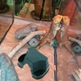 thumbnail image 4 of Phenofice 2 Pcs Habitat en Plastique pour Tortues, Cachette pour Reptiles, Alimentation pour Animaux, 4 of 8